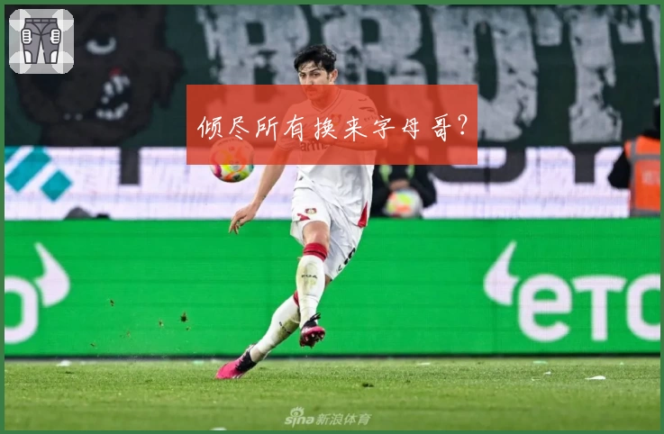 倾尽所有换来字母哥？