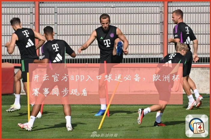 开云官方app入口球迷必备，欧洲杯赛事同步观看